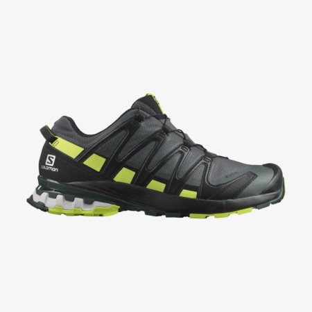 Salomon xa pro discount 3d femme soldes